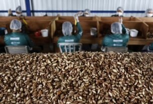 geraldenoticias 1756133356