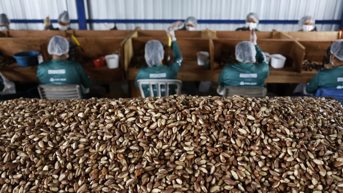 Governo autoriza compra sem licitação de alimentos afetados por tarifa de Trump 2 Governo autoriza compra sem licitação de alimentos afetados por tarifa de Trump - Imagem do artigo