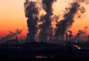 geraldenoticias 1756207361