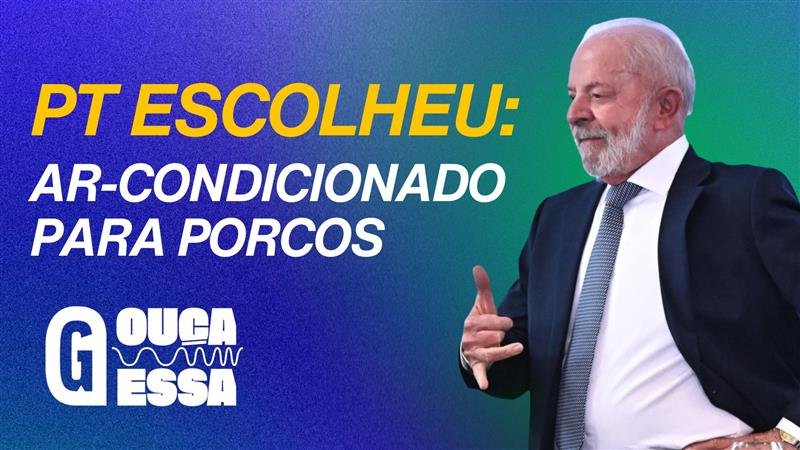 Governo impõe ar-condicionado para gado e acende alerta no agronegócio 2 Governo impõe ar-condicionado para gado e acende alerta no agronegócio - Imagem do artigo