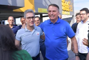 politica romeu zema bolsonaro at