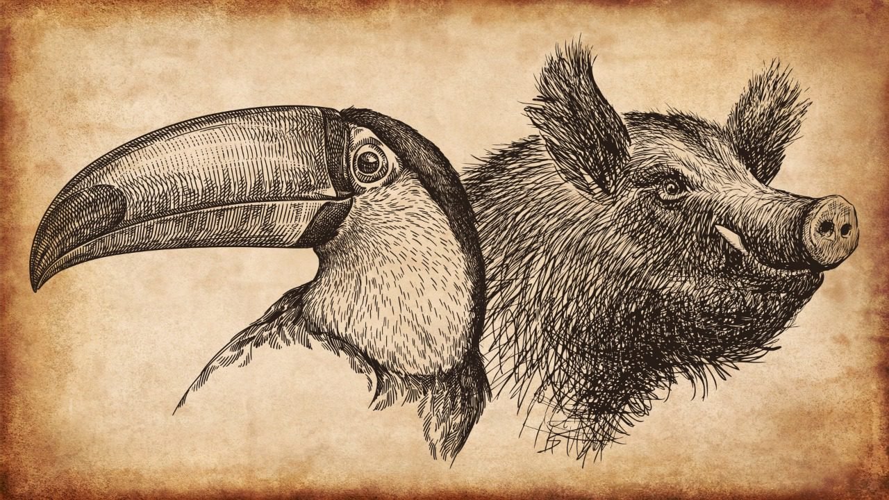 Caio Coppolla lança fábula que expõe riscos de alianças políticas 2 Caio Coppolla lança fábula que expõe riscos de alianças políticas - Imagem do artigo original