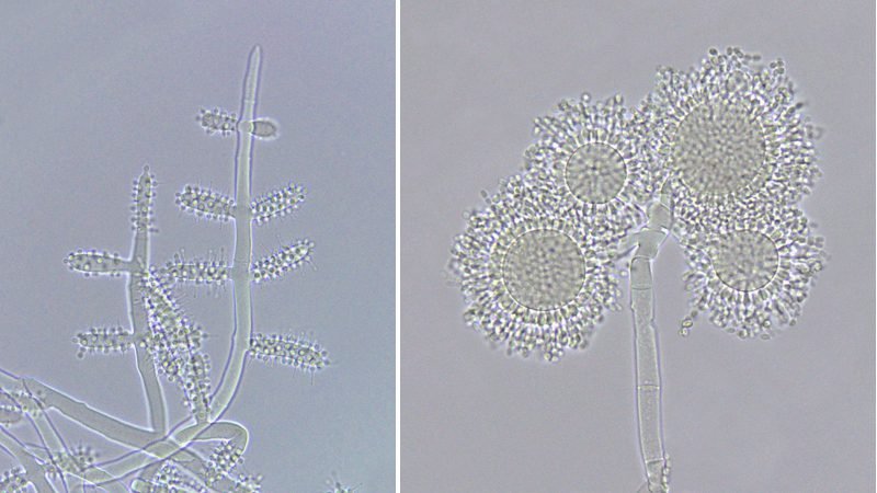 geraldenoticias 1757693218