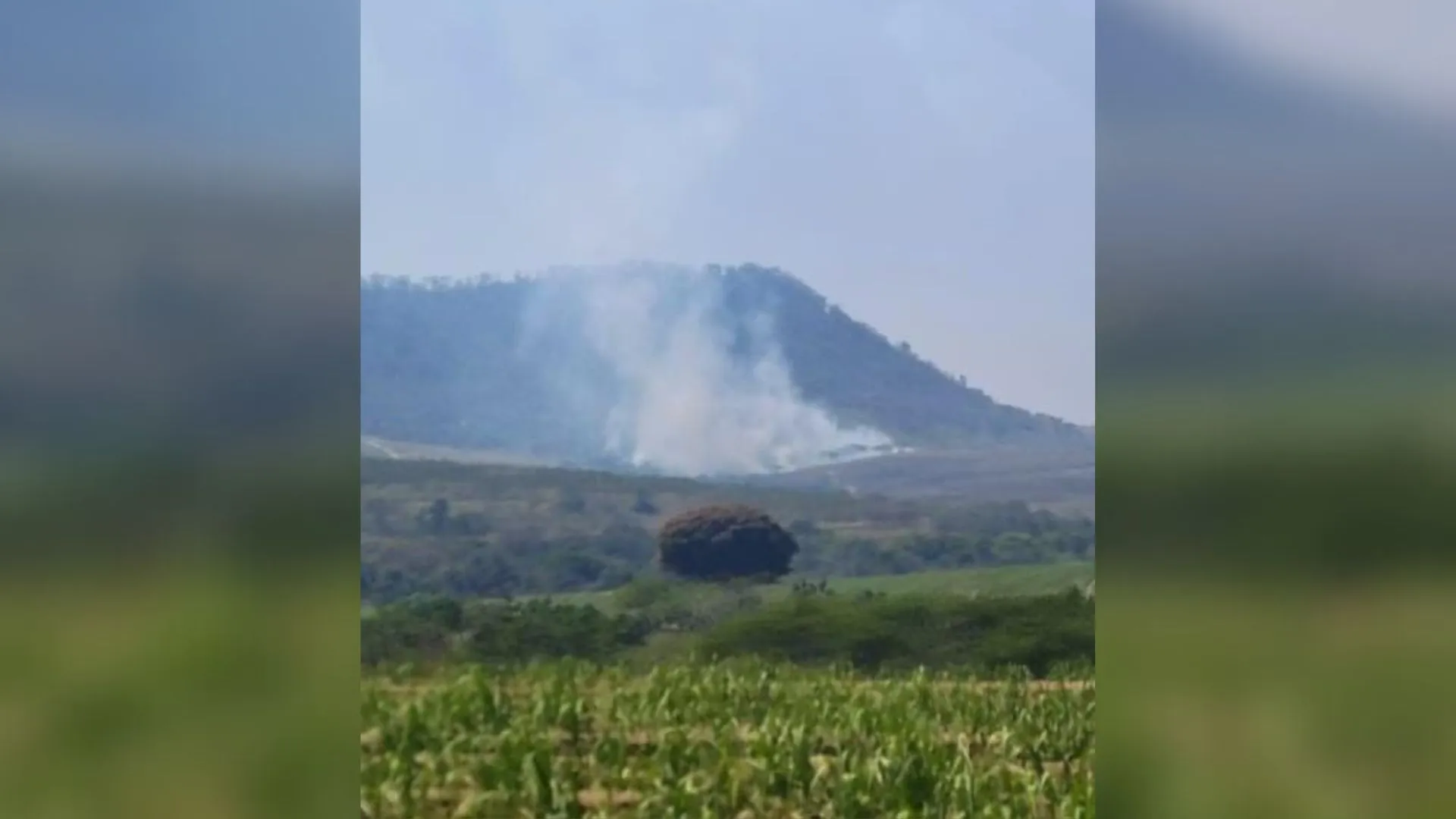 São Paulo enfrenta sete incêndios em vegetação e instala gabinete de crise 2 São Paulo enfrenta sete incêndios em vegetação e instala gabinete de crise - Imagem do artigo