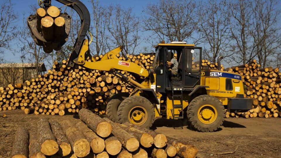 Tarifa de 50% dos EUA trava madeira brasileira e ameaça 38 mil empregos no Paraná 2 Tarifa de 50% dos EUA trava madeira brasileira e ameaça 38 mil empregos no Paraná - Imagem do artigo
