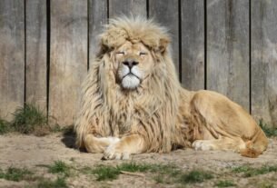 geraldenoticias 1759261438