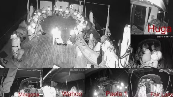 Brasil envia missão consular para visitar brasileiros presos em flotilha interceptada por Israel 2 Brasil envia missão consular para visitar brasileiros presos em flotilha interceptada por Israel - Imagem do artigo