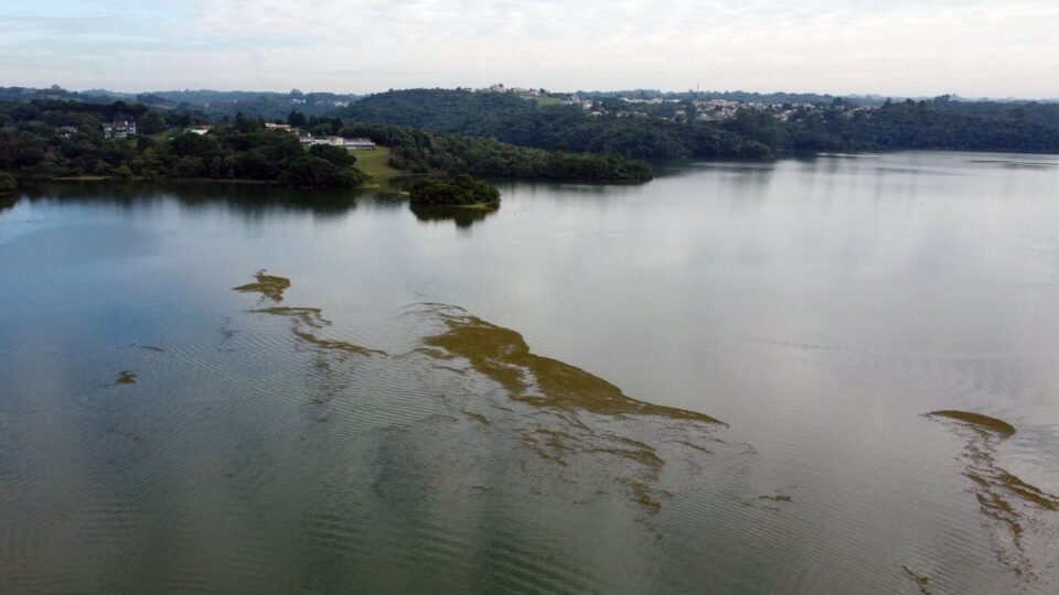 ICMS Ecológico garante R$ 20 milhões ao litoral do Paraná e reforça caixa municipal 2 ICMS Ecológico garante R$ 20 milhões ao litoral do Paraná e reforça caixa municipal - Imagem do artigo