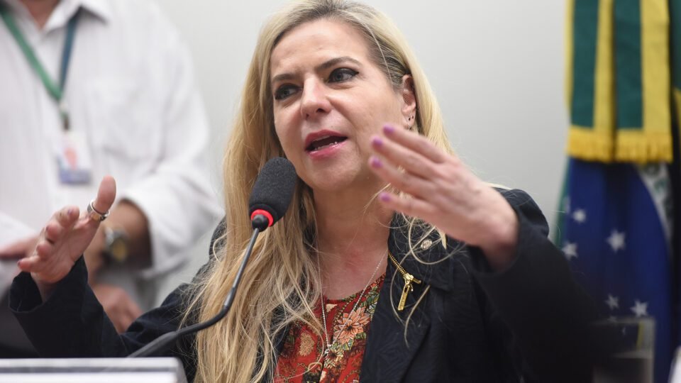 Deputada do PT desafia Israel e permanece presa após rejeitar deportação rápida 2 Deputada do PT desafia Israel e permanece presa após rejeitar deportação rápida - Imagem do artigo
