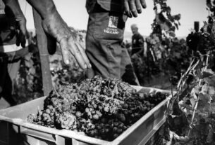 geraldenoticias 1759834267