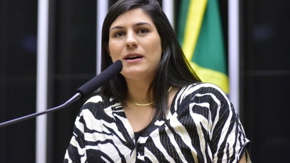 Chris Tonietto defende anistia ampla e critica avanço do aborto no Brasil 2 Chris Tonietto defende anistia ampla e critica avanço do aborto no Brasil - Imagem do artigo