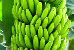 geraldenoticias 1759926894