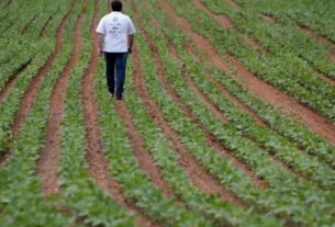 geraldenoticias 1760495250