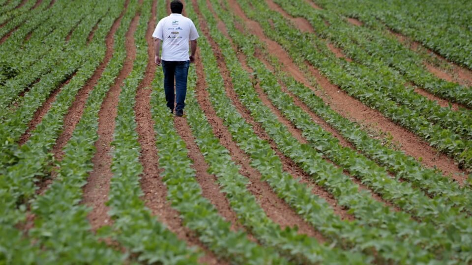 Setores produtivos pressionam Congresso para derrubar vetos de Lula ao licenciamento ambiental 2 Setores produtivos pressionam Congresso para derrubar vetos de Lula ao licenciamento ambiental - Imagem do artigo