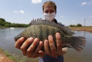 geraldenoticias 1760791982