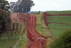 geraldenoticias 1760833424