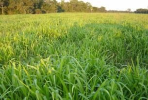 geraldenoticias 1761591278