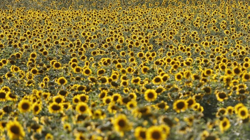 geraldenoticias 1761864850