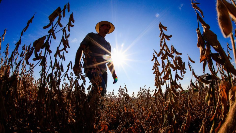 geraldenoticias 1761937749