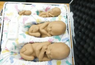 geraldenoticias 1762375009