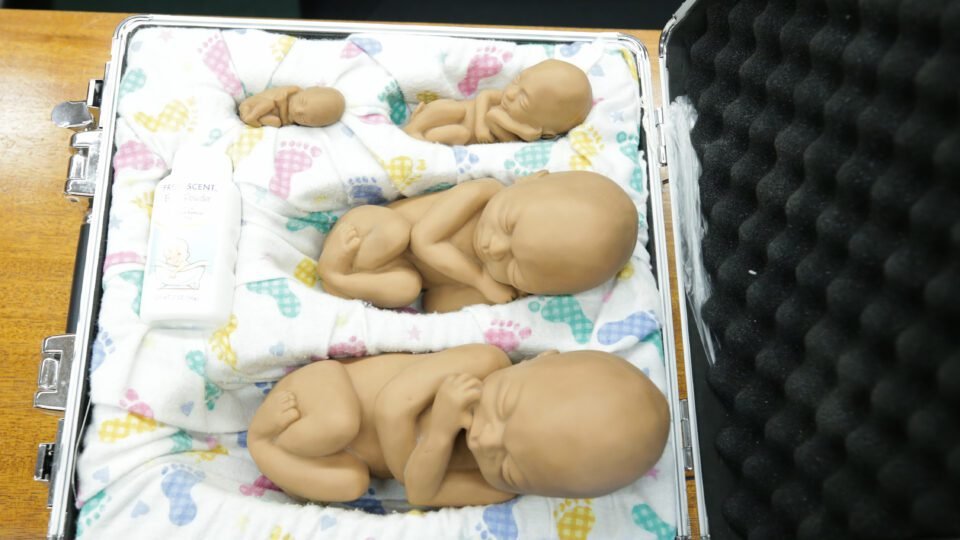 geraldenoticias 1762375009