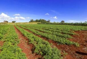 geraldenoticias 1762460842