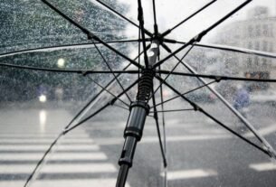 geraldenoticias 1762521500