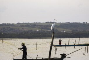 geraldenoticias 1762727633