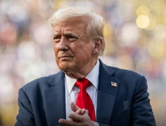 Trump denuncia corte de árvores na Amazônia para estrada da COP30 e cobra explicações 2 Trump denuncia corte de árvores na Amazônia para estrada da COP30 e cobra explicações - Imagem do artigo