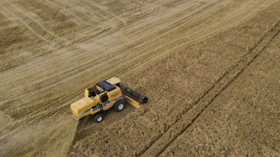 Cevada da Capal supera previsões e garante 58,7 mil toneladas de grãos de alta qualidade 2 Cevada da Capal supera previsões e garante 58,7 mil toneladas de grãos de alta qualidade - Imagem do artigo