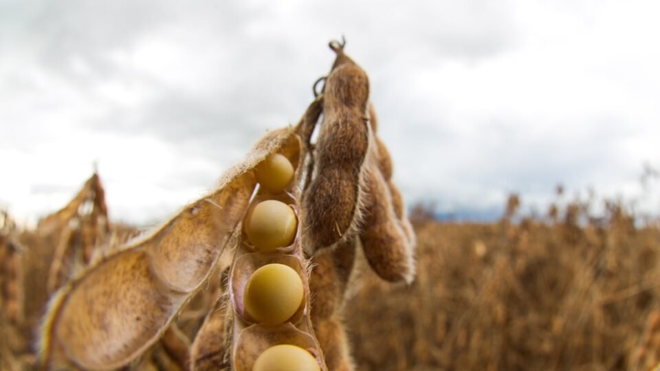 geraldenoticias 1762956572