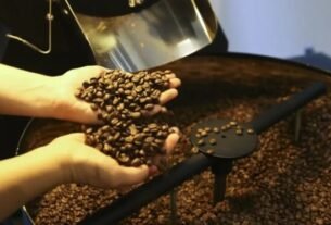 geraldenoticias 1763168832